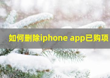 如何删除iphone app已购项目